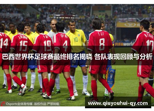 巴西世界杯足球赛最终排名揭晓 各队表现回顾与分析