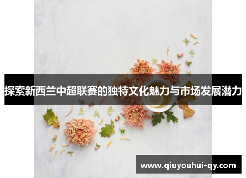 探索新西兰中超联赛的独特文化魅力与市场发展潜力