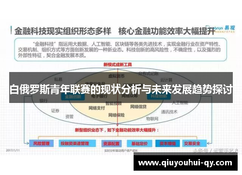 白俄罗斯青年联赛的现状分析与未来发展趋势探讨