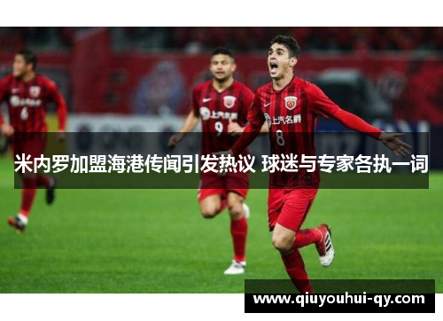 米内罗加盟海港传闻引发热议 球迷与专家各执一词