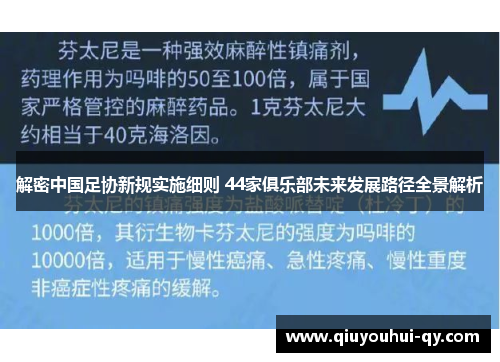 解密中国足协新规实施细则 44家俱乐部未来发展路径全景解析